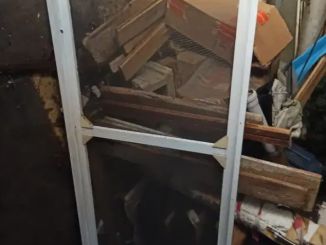 ikinci el pimapen kapi sinekligi 1